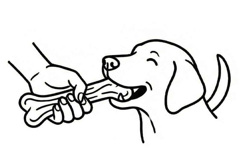 犬用CWDCコーヒーウッド噛むおもちゃ、喜ぶいぬ