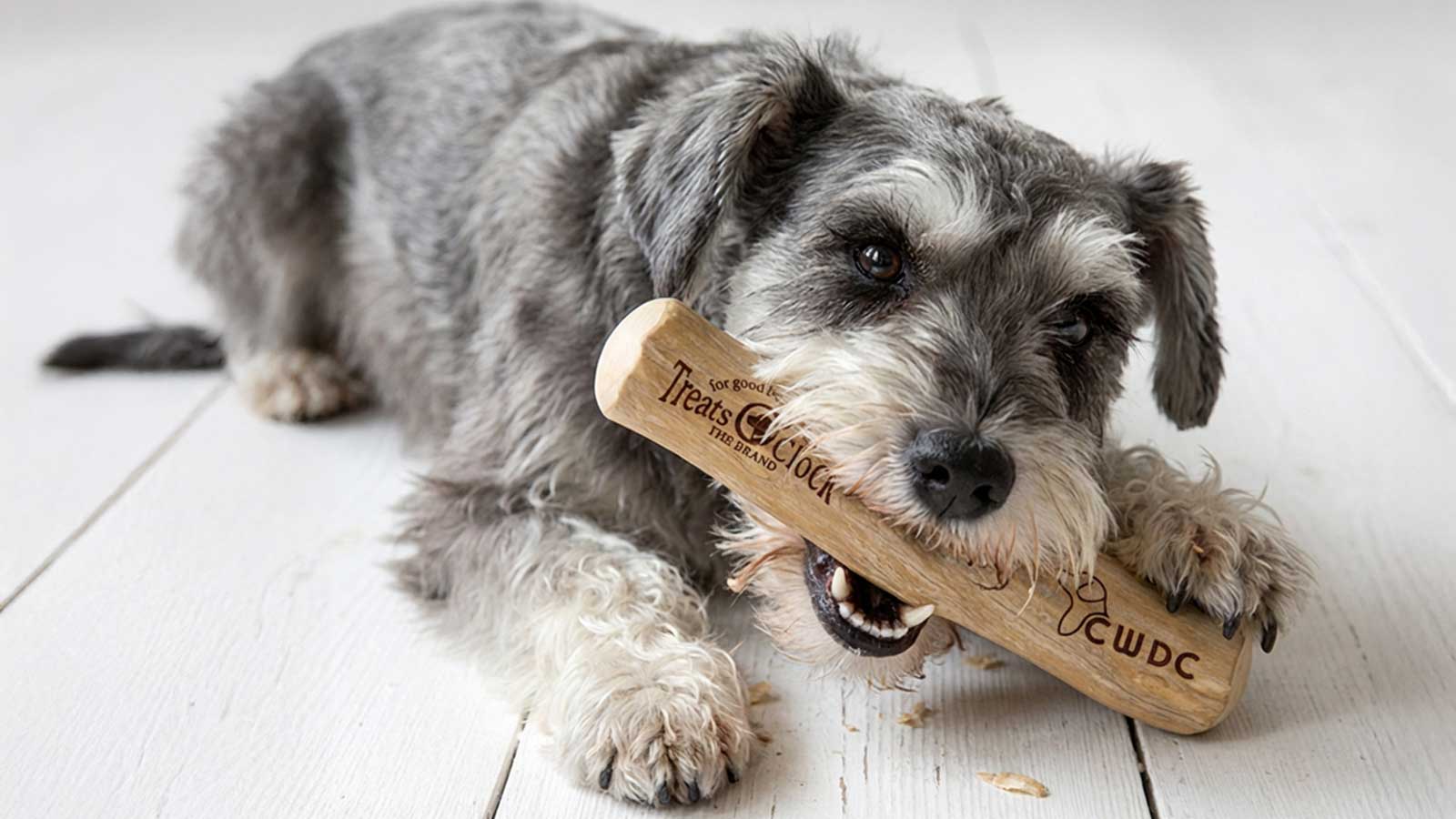 コーヒーウッドとは？犬の噛むおもちゃに使われる天然木 | CWDC Japan