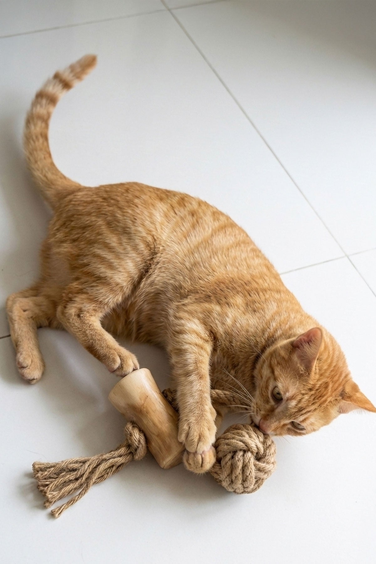 CWDCコーヒーウッド、ナチュラルキャットトイ
