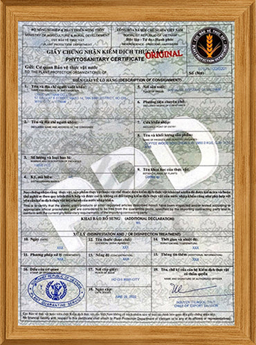 コーヒーウッドは鹿の角や骨のような犬に対する危険性がありません。コーヒーウッドの安全性を示す証明書。